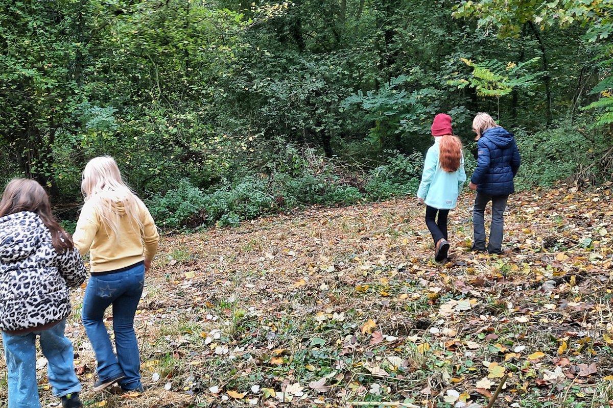 Titelbild für Beitrag: Auf Entdeckungsreise im Ökosystem Wald