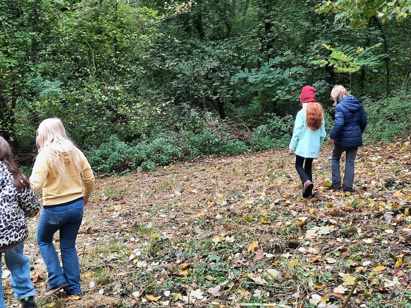 Titelbild für Beitrag: Auf Entdeckungsreise im Ökosystem Wald